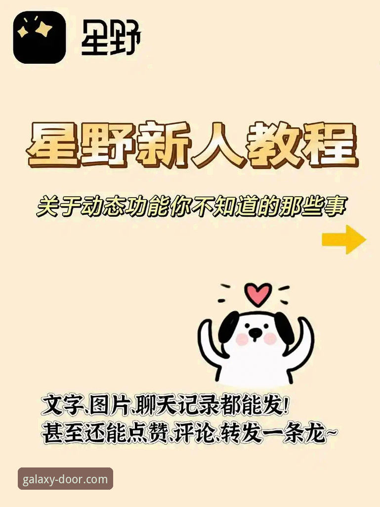 星空入口平台App下载与安装完整操作教程